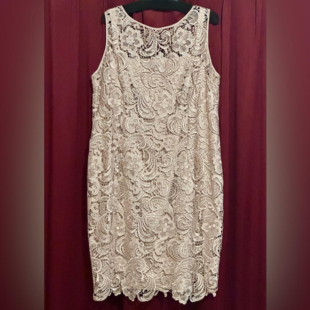 ADRIANNA PAPELL Lace Sheath sleeveless Dress size 18w color Champagne